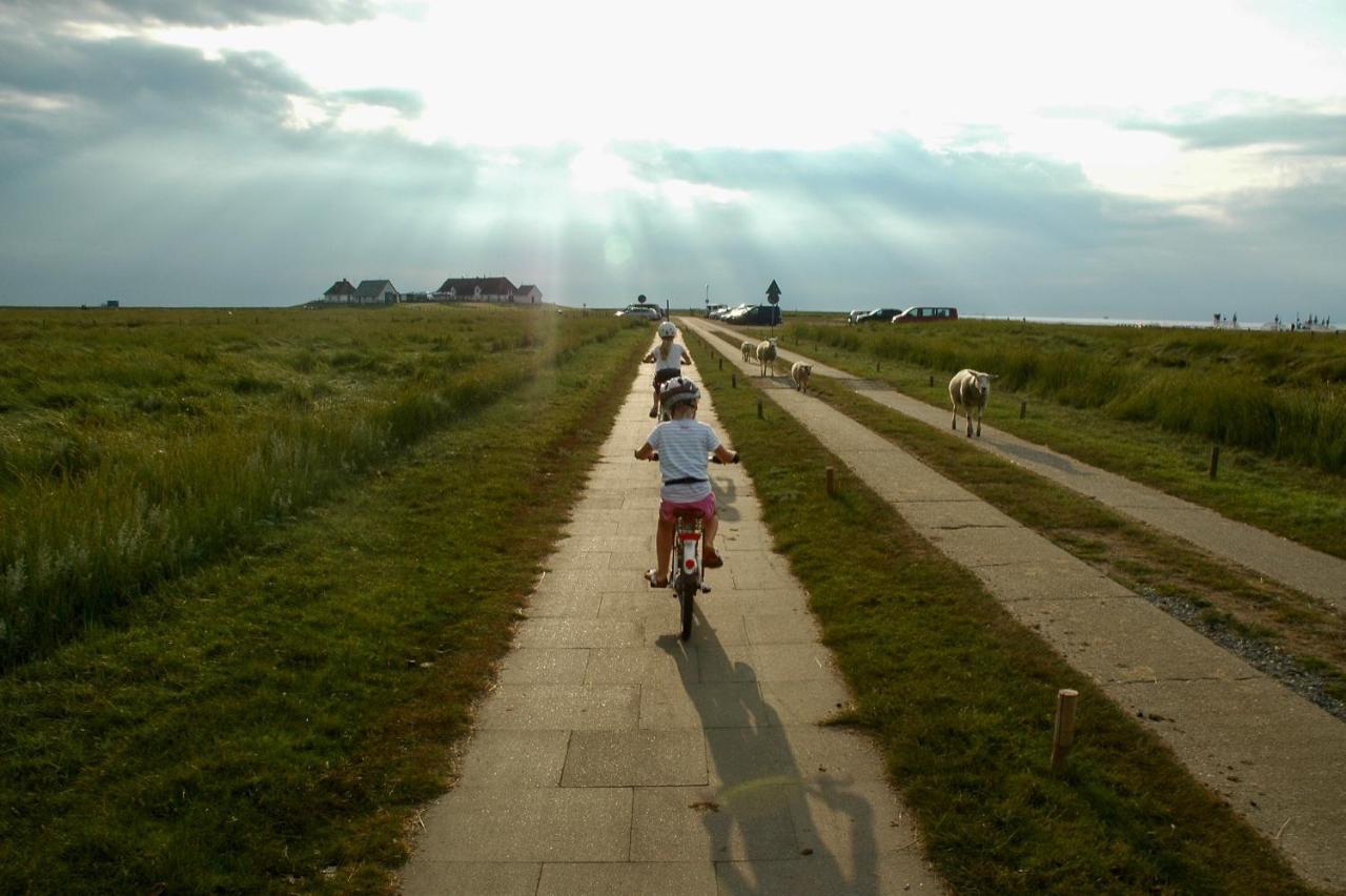 Nordsee Bauernhof Familie Wulff Fewo "Suedfall" Reußenköge Exteriér fotografie