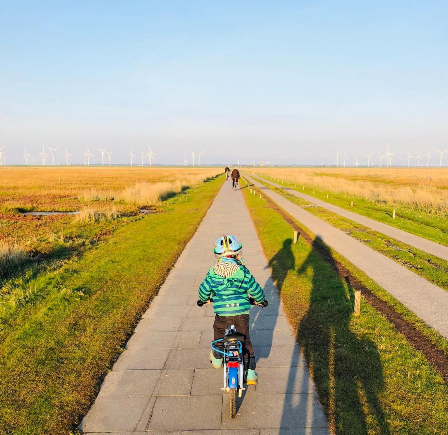 Nordsee Bauernhof Familie Wulff Fewo "Suedfall" Reußenköge Exteriér fotografie